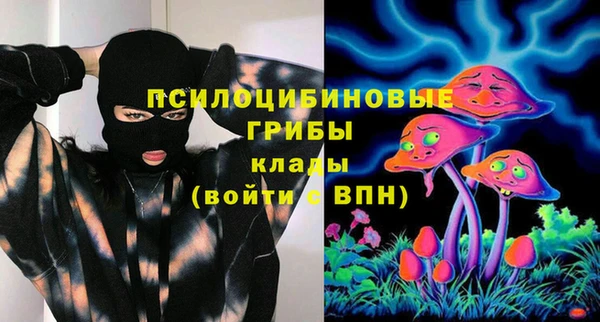 mdpv Надым