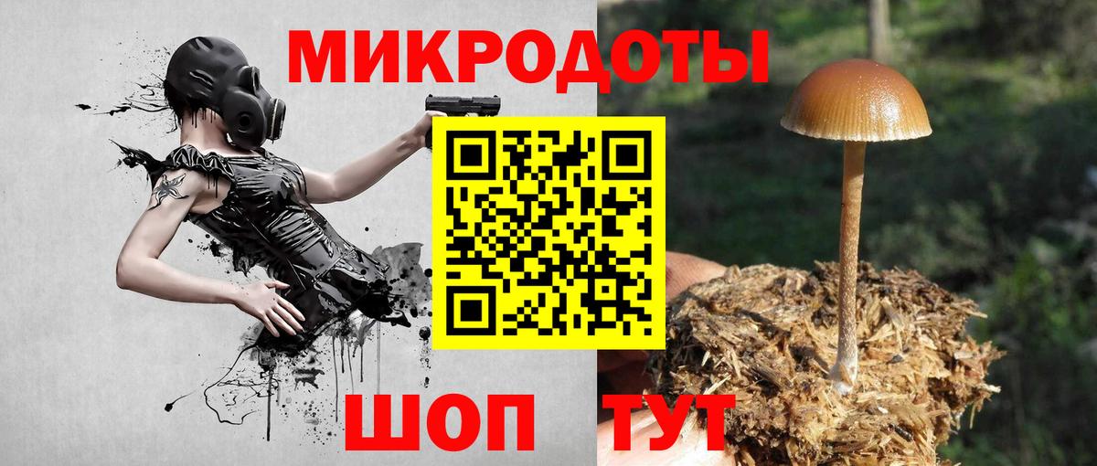 купить наркотики сайты  Новозыбков  Псилоцибиновые грибы Cubensis 