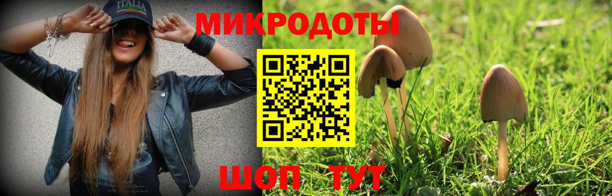 Псилоцибиновые грибы Cubensis  Галлюциногенные грибы прущие грибы  наркошоп  Вход с VPN  Новозыбков 