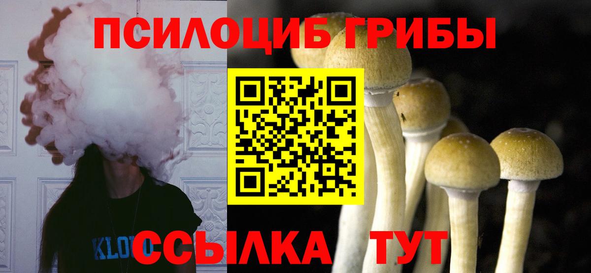 Псилоцибиновые грибы GOLDEN TEACHER Новозыбков
