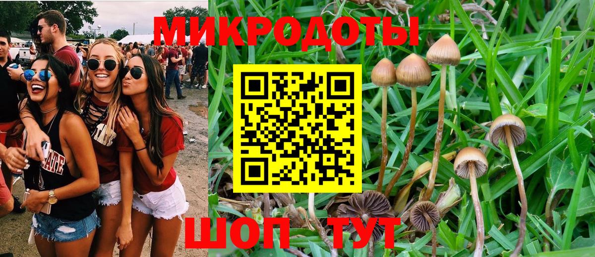 Псилоцибиновые грибы ЛСД Новозыбков