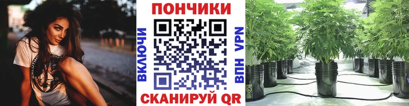 МАРИХУАНА планчик  hydra tor  Новозыбков 