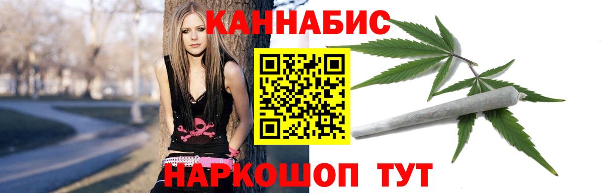 Марихуана гибрид Новозыбков